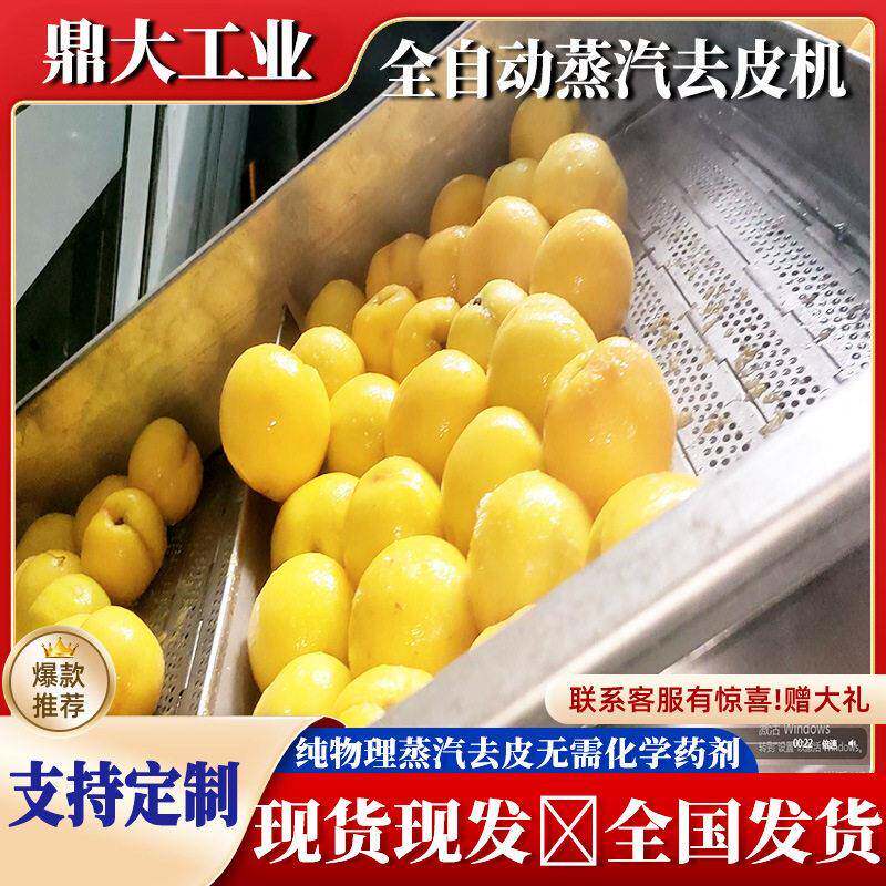 蒸汽去皮机黄桃蒸汽脱皮机头果料加工果蔬去皮成套设备
