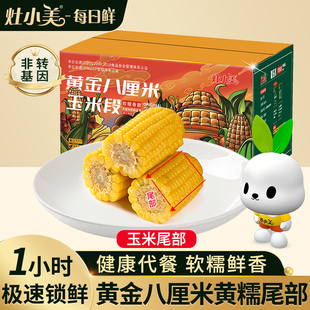 灶小美内蒙古黄黑黄金八厘米玉米段12支装低脂粘苞米粗粮代餐早餐
