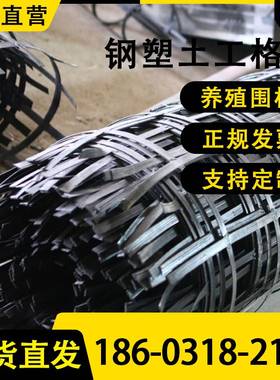 塑料土工格栅双向钢塑复合玻纤沥青路面路基用GSGS GSL 50KN 厂家