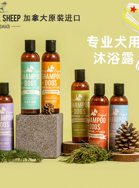 加拿大BlackSheep狗狗沐浴露宠物香波沐浴液抑菌除螨小狗沐浴露
