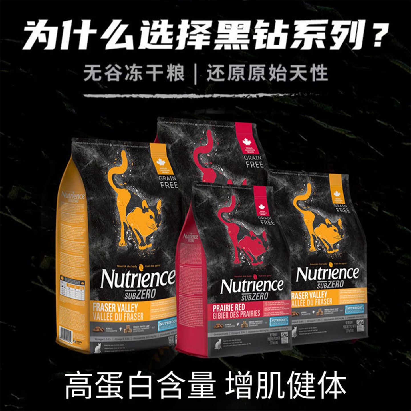 纽翠斯黑钻系列猫粮成幼猫通用