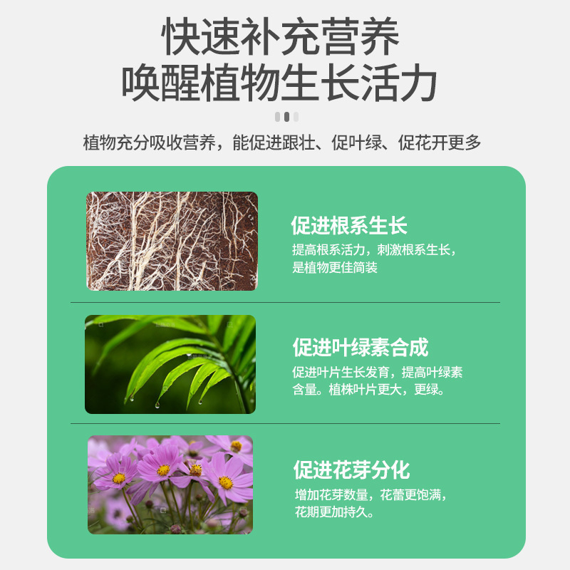 花多多1号2号通用型花朵朵一号月季绣球水溶促开花肥料绿植通用