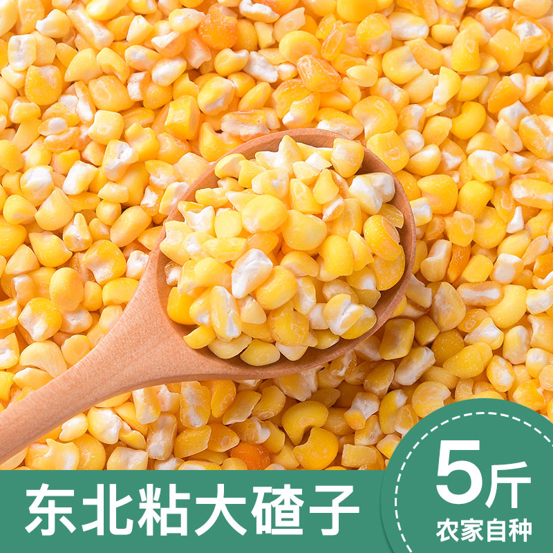 2024东北粘玉米大碴子芸豆新农家粗粮煮粥五谷杂粮粘糯玉米糁5斤