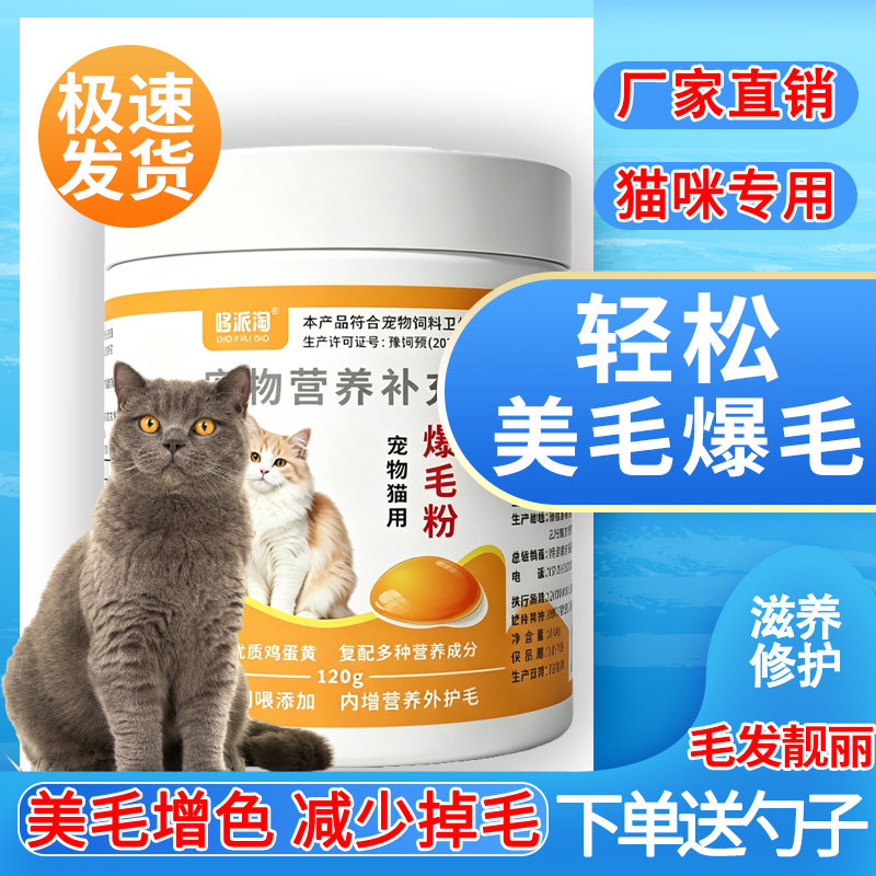 英短爆毛粉防掉毛脱毛美毛亮毛柔