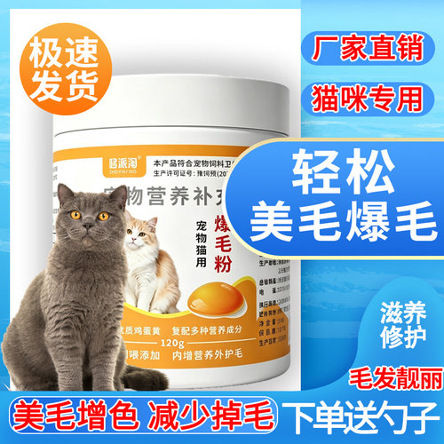 英短爆毛粉防掉毛脱毛美毛亮毛柔