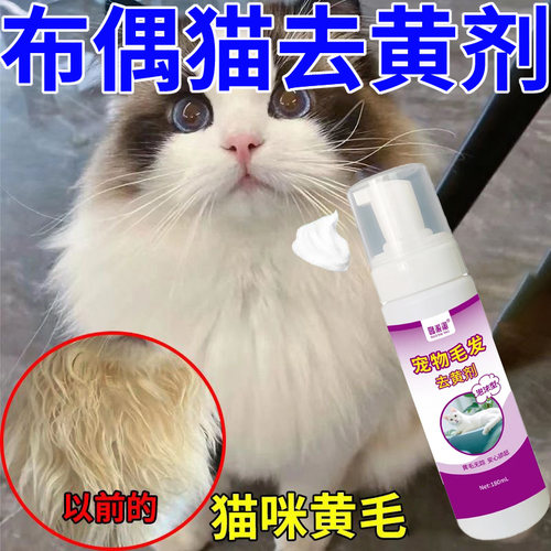 布偶猫去黄清洁剂猫毛去氧化去黄还原剂毛发清洁去污用免水洗泡沫