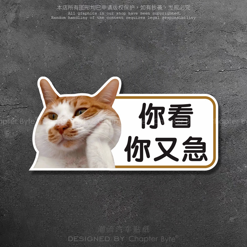 chapterbyte汽车贴纸可爱猫猫