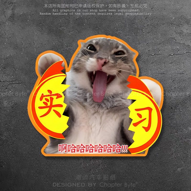 搞笑猫咪实习新手车贴划痕遮挡