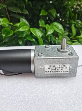 600JSX510-50ZY 5000/10RPM 大扭力 12V24V涡轮蜗杆直流减速电机
