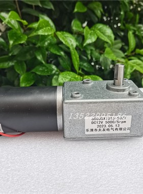 600JSX1015-50ZY 5000/5RPM12V24V蜗轮蜗杆直流减速电机单出轴50W