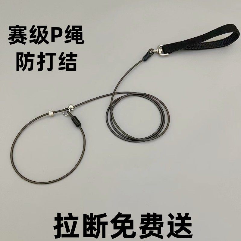 狗牵引绳防爆冲狗链子p绳大中小型犬遛狗绳防咬防打结加粗p链训犬