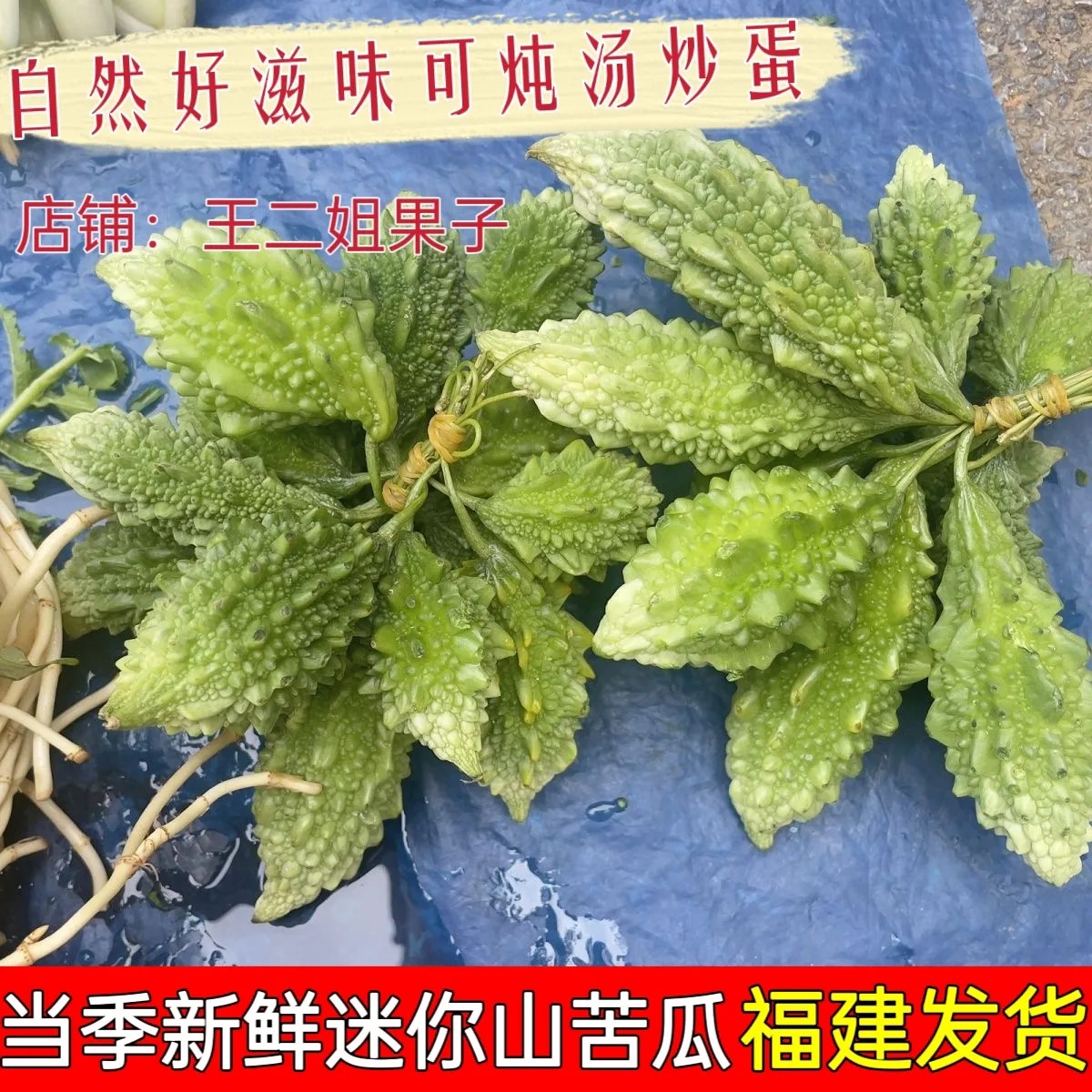 网红迷你山苦瓜1斤2斤3斤鲜果小苦瓜-炖汤、清炒、凉拌复合菜色