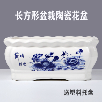 长方形花盆陶瓷简约室内特大号带托盘家用兰花绿萝多肉榕树花盆