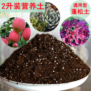 花泥土绿萝营养土通用型2升装多肉土种植