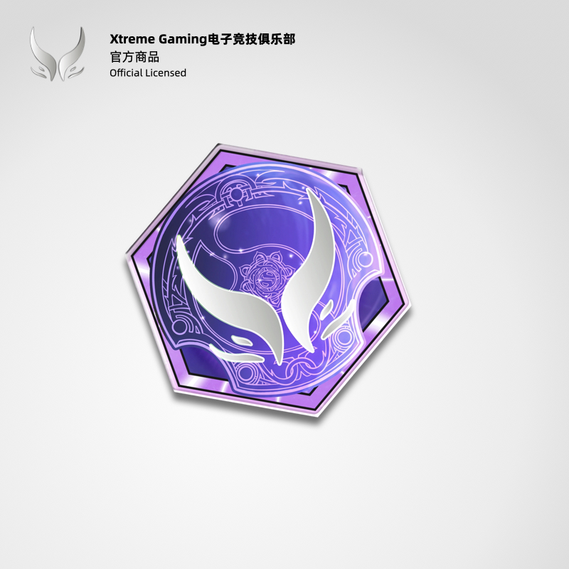 Xtreme Gaming TI14主题应援磁吸冰箱贴