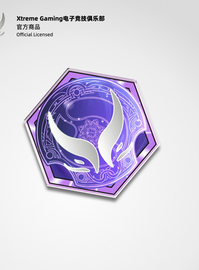 Xtreme Gaming TI14主题应援磁吸冰箱贴