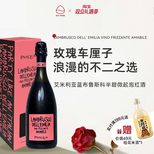 NutWine意大利艾米利亚蓝布鲁斯科甜红起泡微醺热红酒葡萄酒