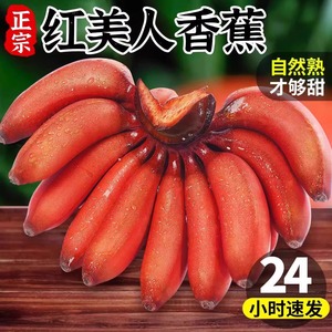 漳州红美人粉蕉红皮特级香蕉小红香焦自然熟新鲜当季水果5斤整箱
