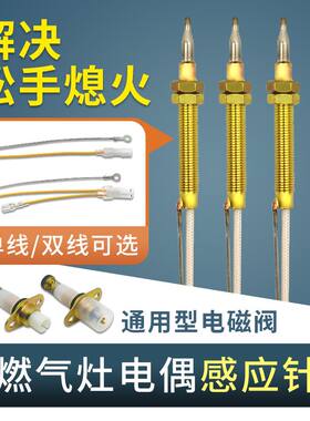 集成灶灶带线型热电偶双孔三线感应铜针安全熄火保护定时探头配件