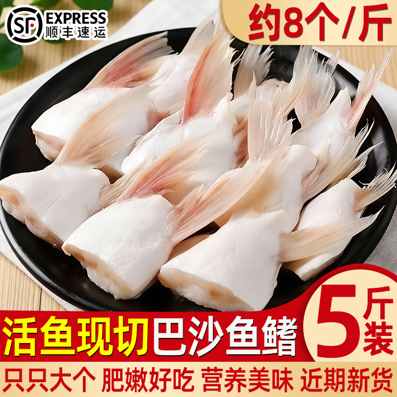 新鲜巴沙鱼鳍鮰鱼鳍鱼腩鱼划水鱼肥油鱼翅鱼肚鱼下巴商用批发顺丰
