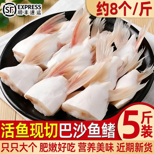 新鲜巴沙鱼鳍鮰鱼鳍鱼腩鱼划水鱼肥油鱼翅鱼肚鱼下巴商用批发顺丰