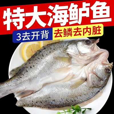 新鲜开背鲈鱼深海活冻活做鲈鱼