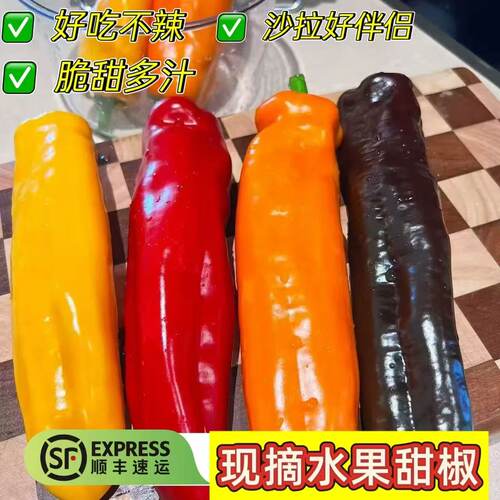 顺丰甜椒现摘长彩椒500g爽脆多汁颜色随机发货生吃新鲜水果甜椒