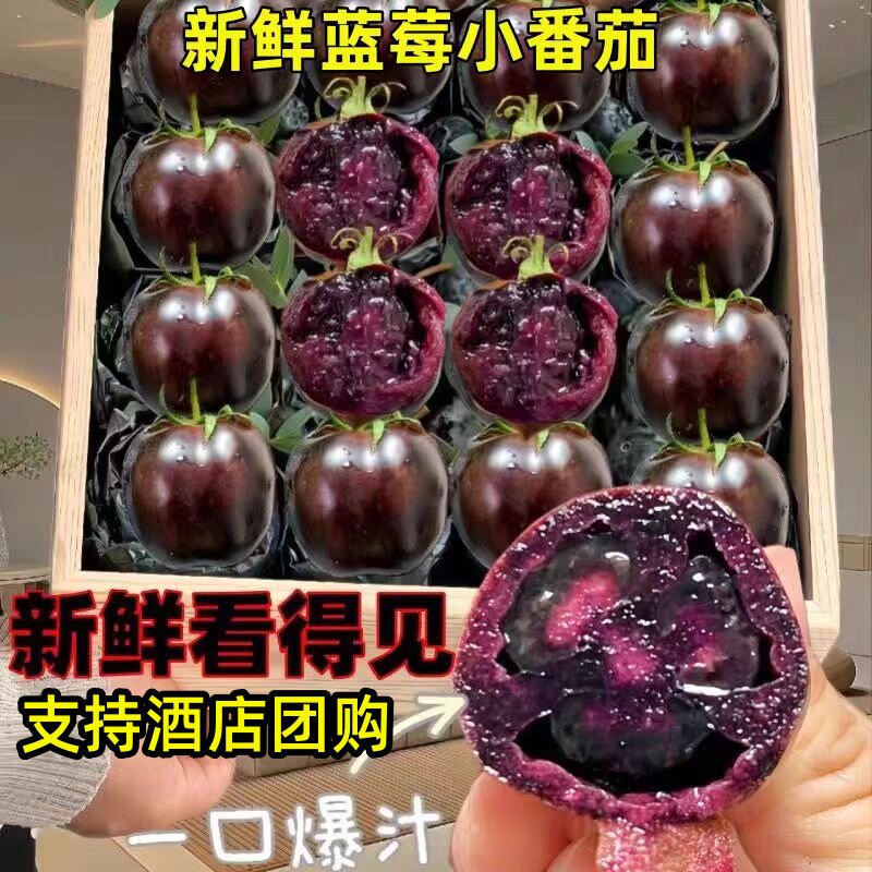 顺丰山东寿光黑玫瑰紫黑色小番茄番茄