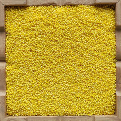 会宁特产农家自产新货小米粗粮熬粥五谷杂粮黄小米煮粥稀饭良谷米