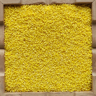 会宁特产农家自产新货小米粗粮熬粥五谷杂粮黄小米煮粥稀饭良谷米