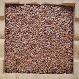 甘肃山区种植会宁胡麻子亚麻籽仁棕色亚麻籽旱地胡麻可榨胡麻油