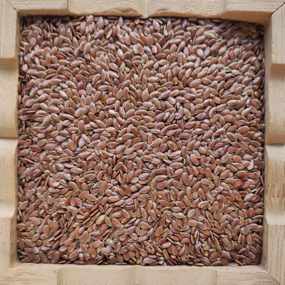 甘肃山区种植会宁胡麻子