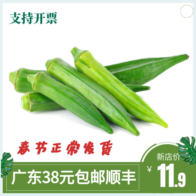 新鲜秋葵当季现摘羊豆角鲜嫩黄秋其它