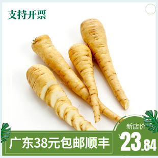 新鲜防风根欧洲萝卜品种parsnip 500g蒲芹菜萝卜法国西餐烘焙食用