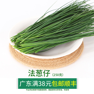 新鲜虾夷葱 西洋细葱 Chives小葱 法葱仔 细香葱