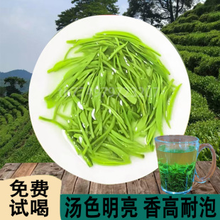 信阳毛尖茶2026新茶雨前茶绿茶500g大叶茶口粮茶袋装散装炒青茶叶