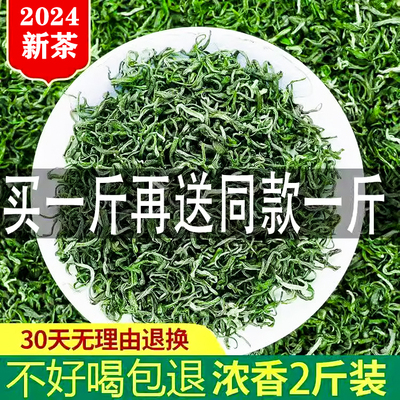 信阳毛尖绿茶2025新鲜雨前茶叶