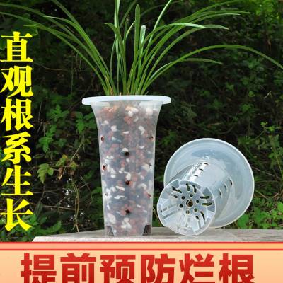 加高透明兰花盆塑料加厚包邮兰花专用盆透气兰花花盆专用盆家用