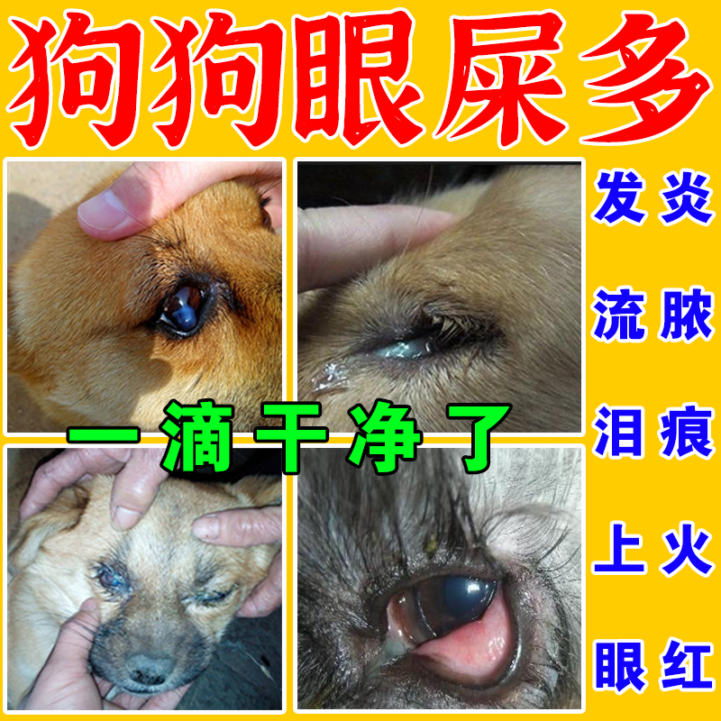 狗狗眼药水眼屎多去泪痕神器