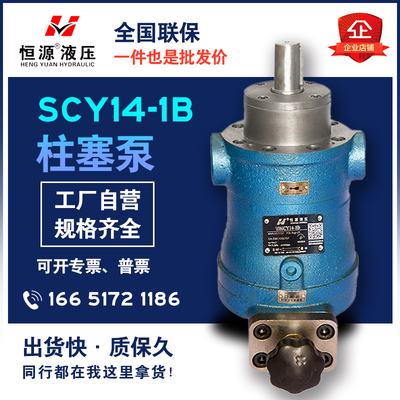 轴向柱塞泵恒源液压SCY14-1B