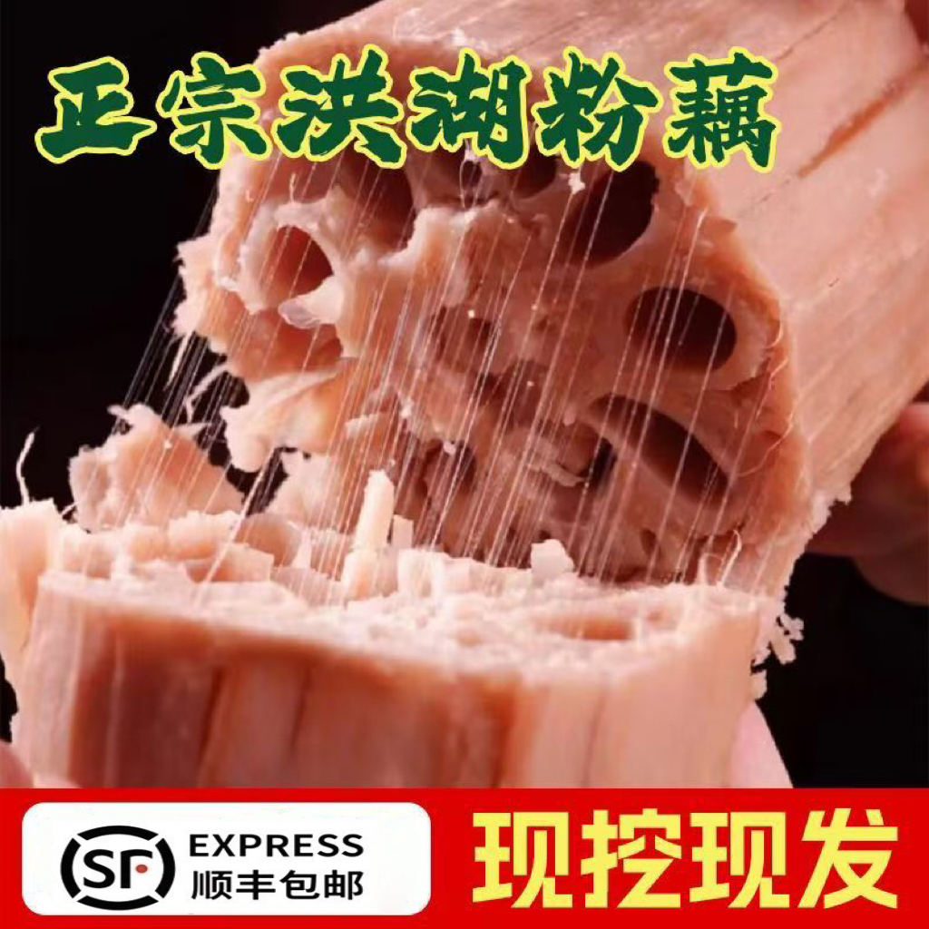 顺丰包邮洪湖粉藕新鲜现挖现发