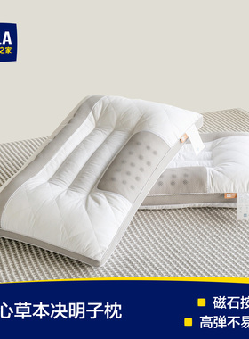 海澜之家决明子枕头宿舍护颈助睡眠专用荞麦壳枕芯成人家用一对男