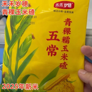 新鲜粗粮 熟玉米碴 禾禾岁穗青稞玉米碴2500g当季 新米东北黏碴子