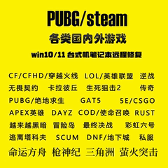 电脑逆战机器码apex无畏契约LOL塔科夫CF三角洲Dayz穿越火线rust6