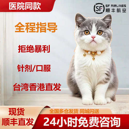 【顺丰特快】喵咪猫咪针剂口服水性油性香港台湾