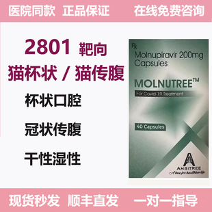 印度进口2801杯状冠状口腔传腹无痛方案干性湿性传腹口服猫用胶囊