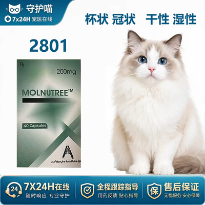 猫咪杯状冠状口服多仓发货