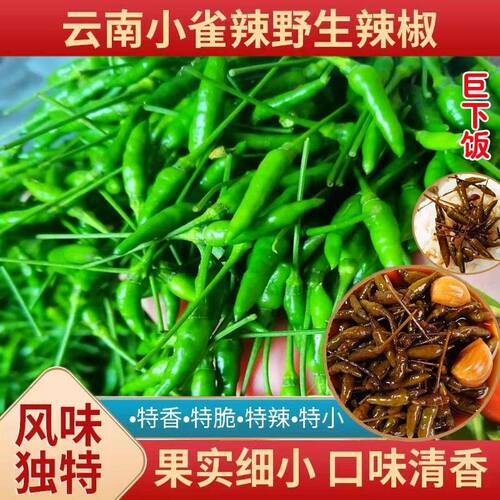 正宗云南特产小雀辣魔鬼小雀辣椒泡小米辣小野山椒下饭菜