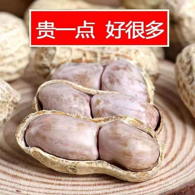 休新货龙岩花生带壳水煮五香蒜香炒花生米晒干烤下酒闲熟零湿食