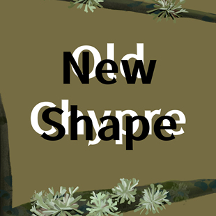 New Shape 传统西普 ┃猫在NekoHide 原创调香 柑苔调 香水